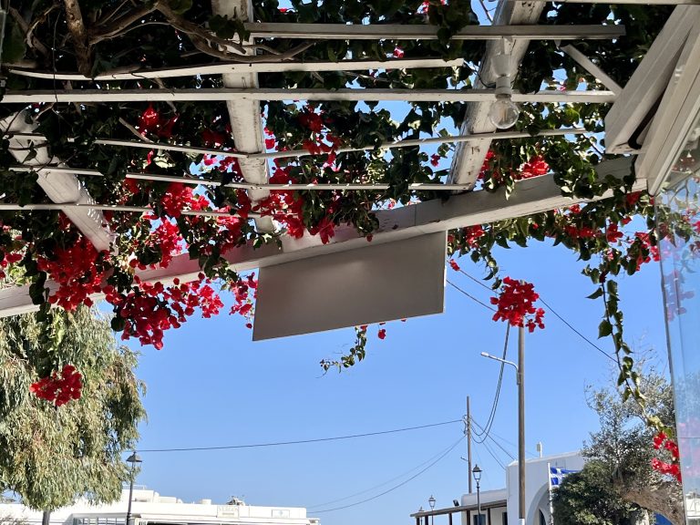 Turning Pages and Raising Capital: A Recent Book Fundraising Success